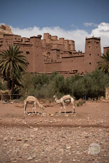 Fotoexpedice Maroko